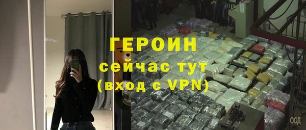 хмурый Пересвет