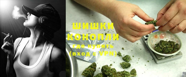 хмурый Пересвет