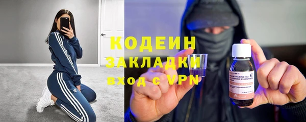 прущие грибы Пестово