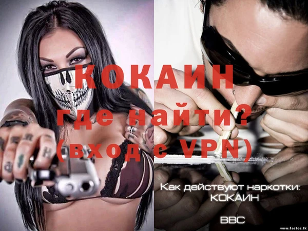 прущие грибы Пестово