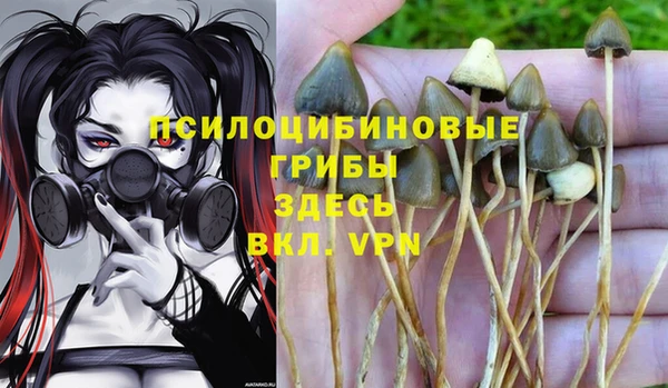 прущие грибы Пестово
