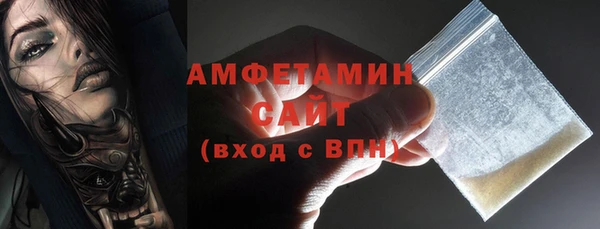 хмурый Пересвет