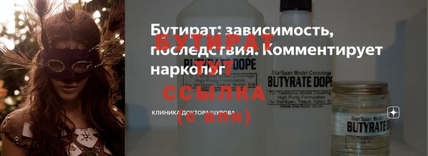 хмурый Пересвет