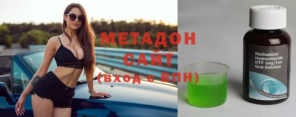 хмурый Пересвет