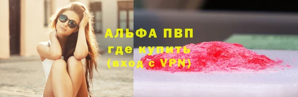 хмурый Пересвет