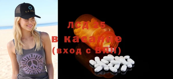 хмурый Пересвет