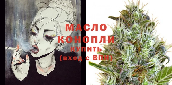 хмурый Пересвет