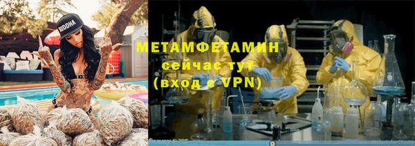 прущие грибы Пестово