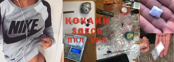 хмурый Пересвет