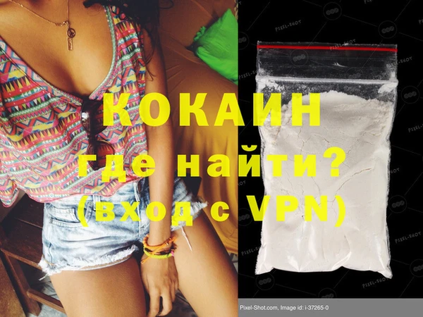 прущие грибы Пестово